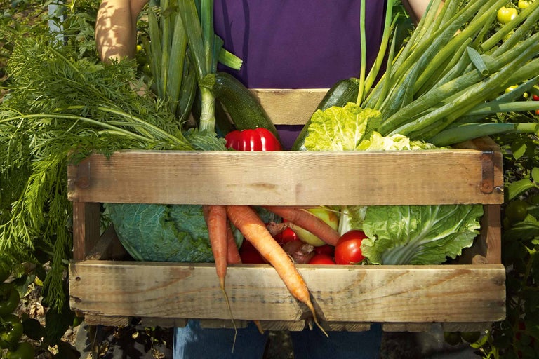 O persoană poartă o ladă de lemn plină cu diverse legume.