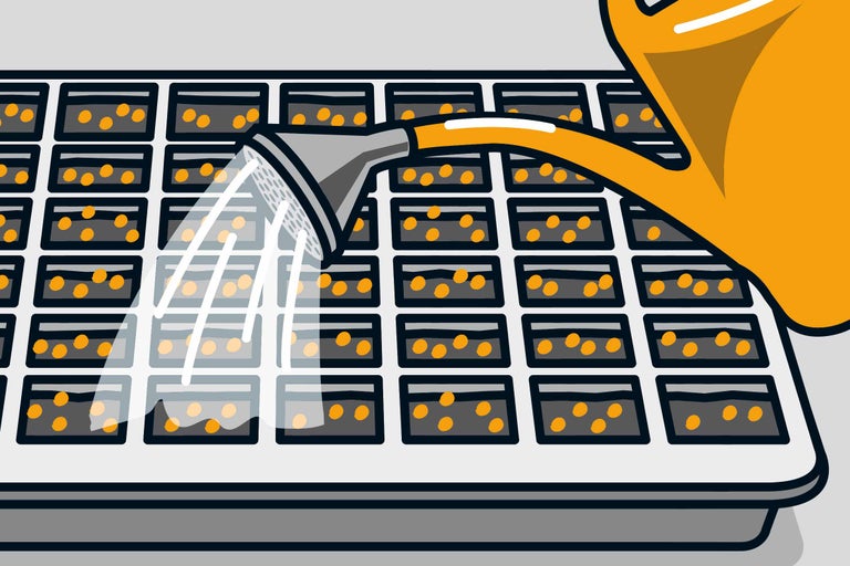 Ilustrație a unei plăci de semănat cu semințe udate cu o stropitoare