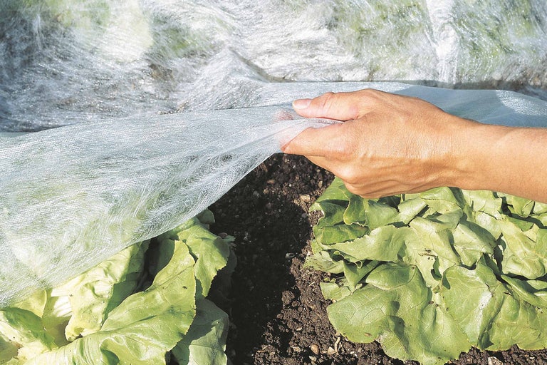 Strat de legume cu folie de protecție și mână
