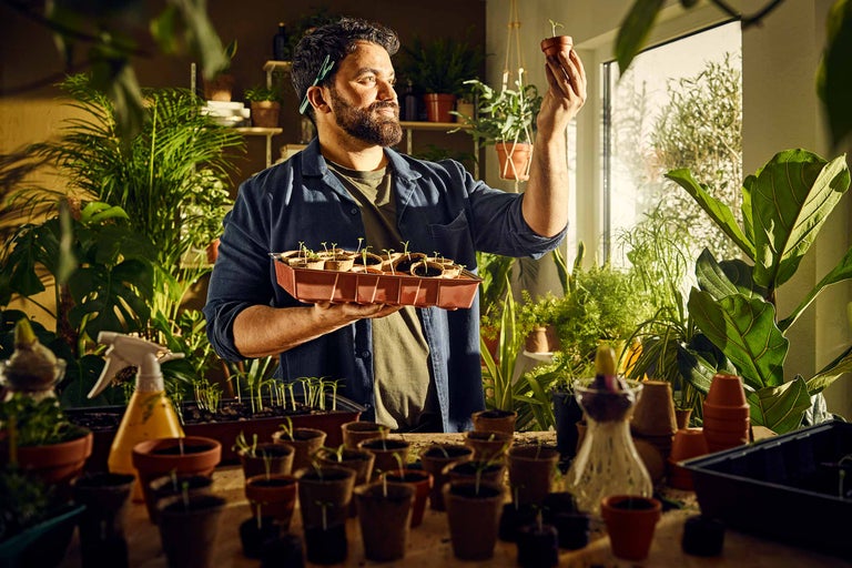 Bărbat care examinează răsadul plantei în ghiveci de pepinieră în fața ferestrei cu plante.