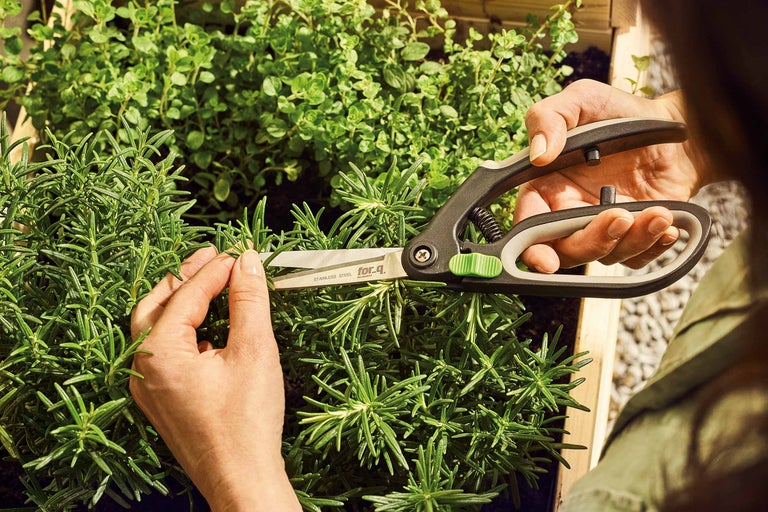 O persoană taie ierburi cu o foarfecă de ierburi marca for_q.