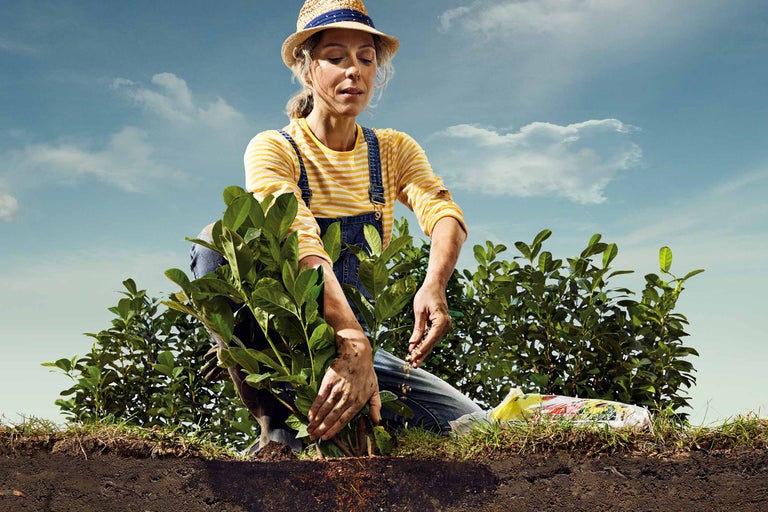 O femeie plantează răsaduri într-o grădină cu pământ de grădină.