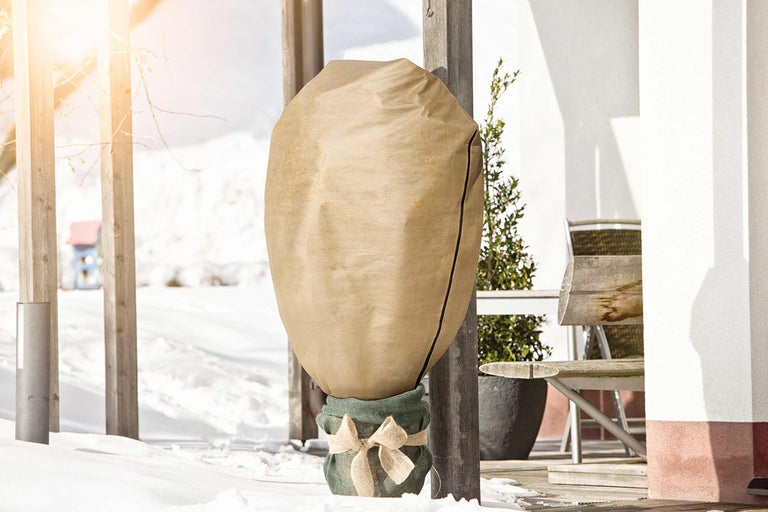 Plantă împachetată iarna cu husă de protecție de iarnă