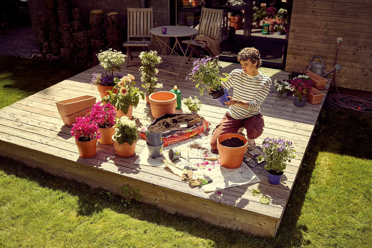 O persoană plantează flori pe o terasă din lemn cu pământ și ghivece.