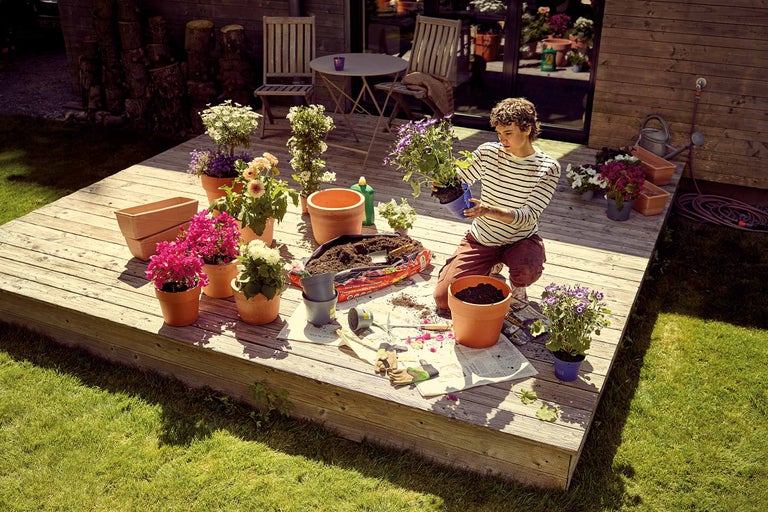 O persoană plantează flori pe o terasă din lemn cu pământ și ghivece.