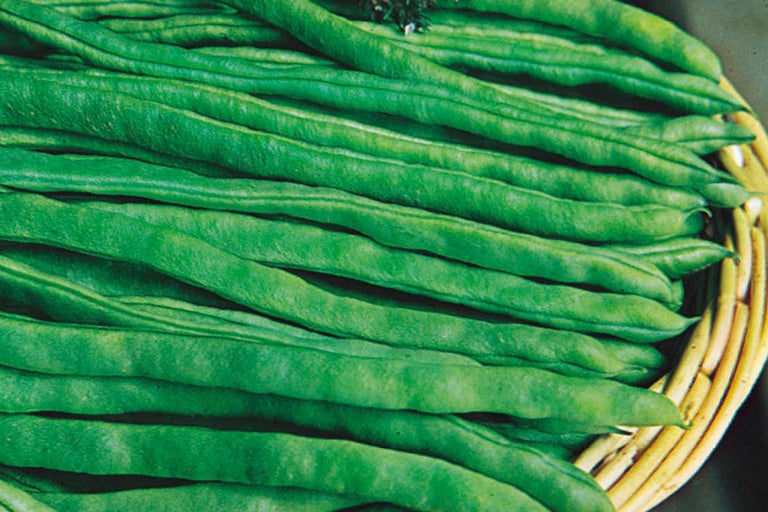 Fasole verde într-un coș