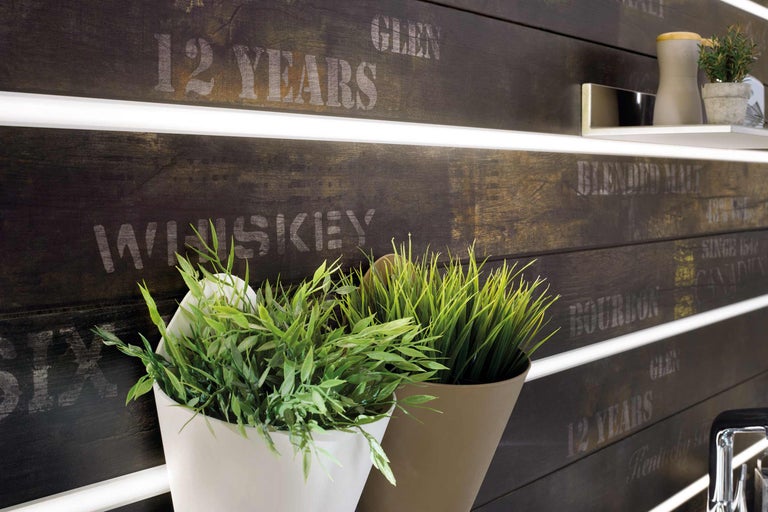 Panouri decorative de perete cu plante în ghivece și rafturi