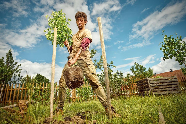 Bărbat plantând un copac în grădină cu un par de lemn