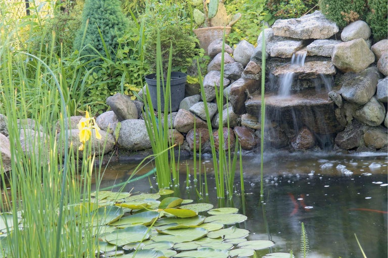 Iaz cu cascadă, nuferi și vegetație de mal