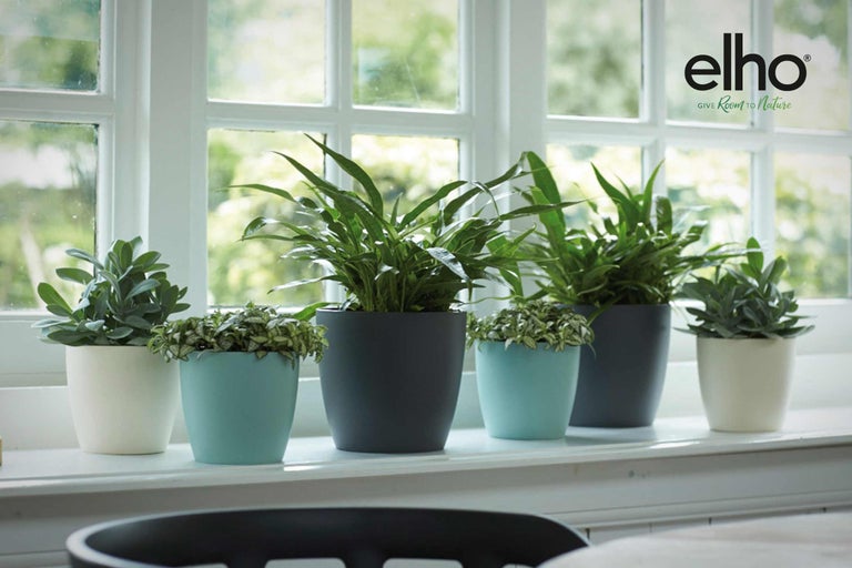 Glaf de fereastră cu plante de apartament în ghivece și sigla Elho