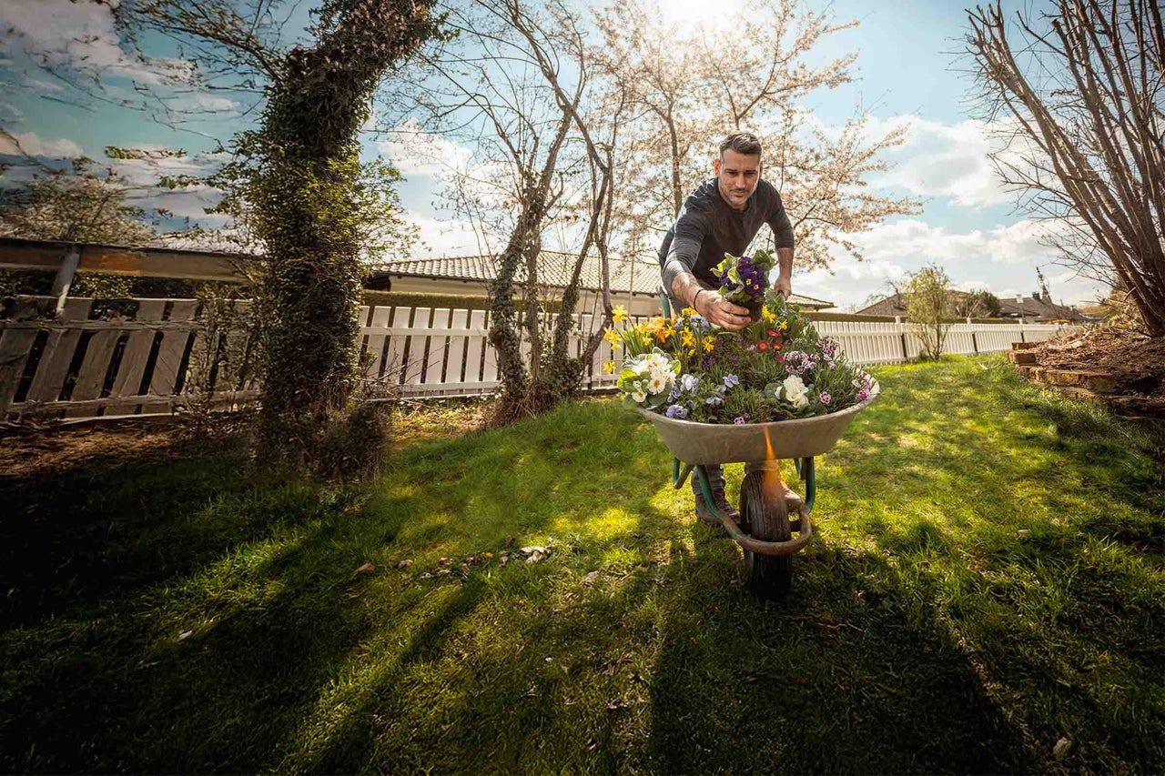 Bărbat care plantează flori într-o roabă în grădină.