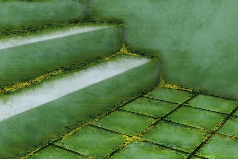 Scară și gresie cu vegetație