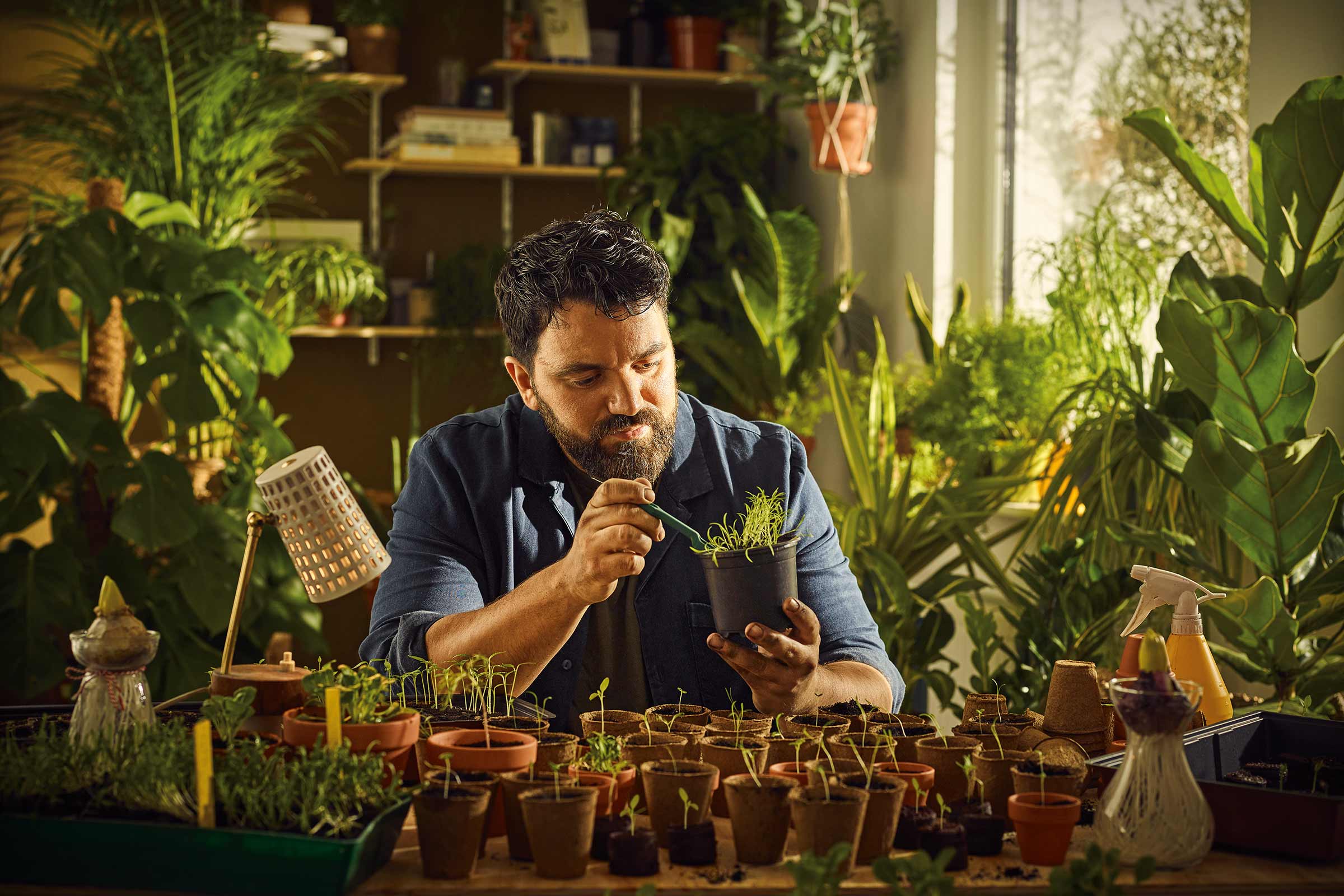 Bărbat repică răsaduri într-o cameră înconjurată de plante de interior.