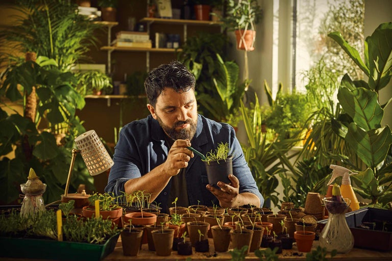 Bărbat repică răsaduri într-o cameră înconjurată de plante de interior.