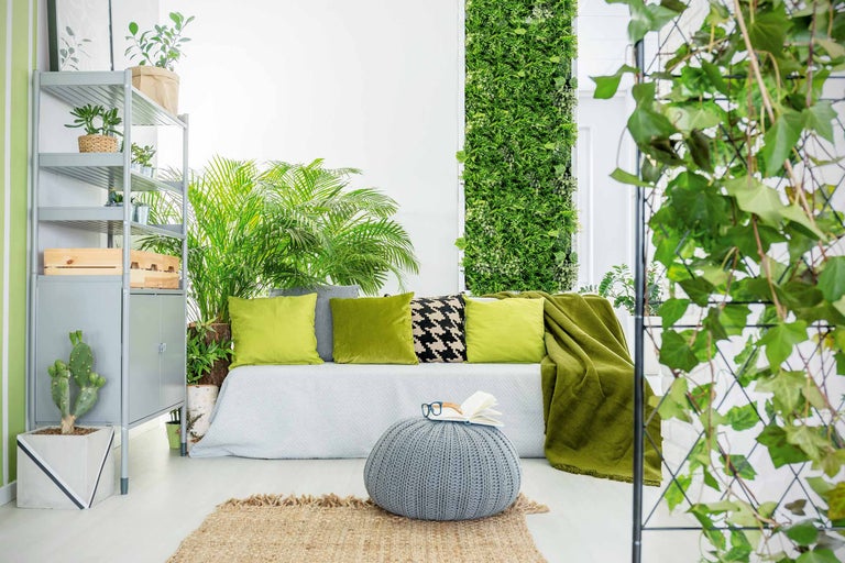 Cameră de zi cu raft, canapea, plante, grădină verticală și decorațiuni