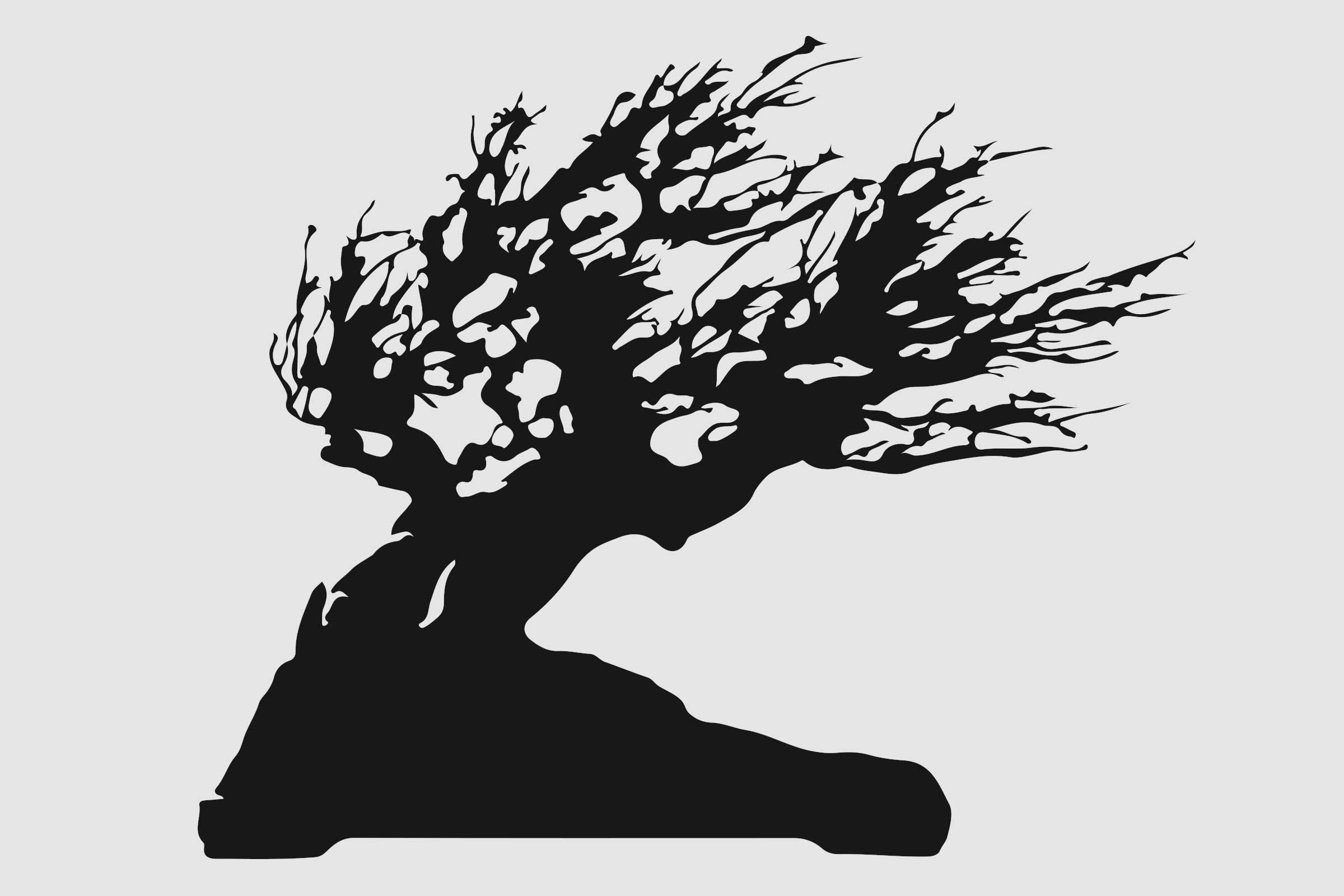 Silueta unui bonsai