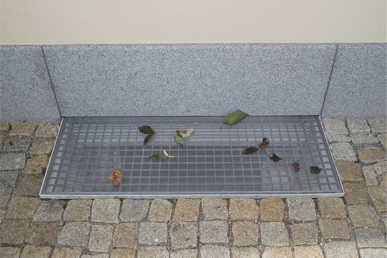 Grilaj pentru fereastra pivniței cu frunze pe pietre de pavaj