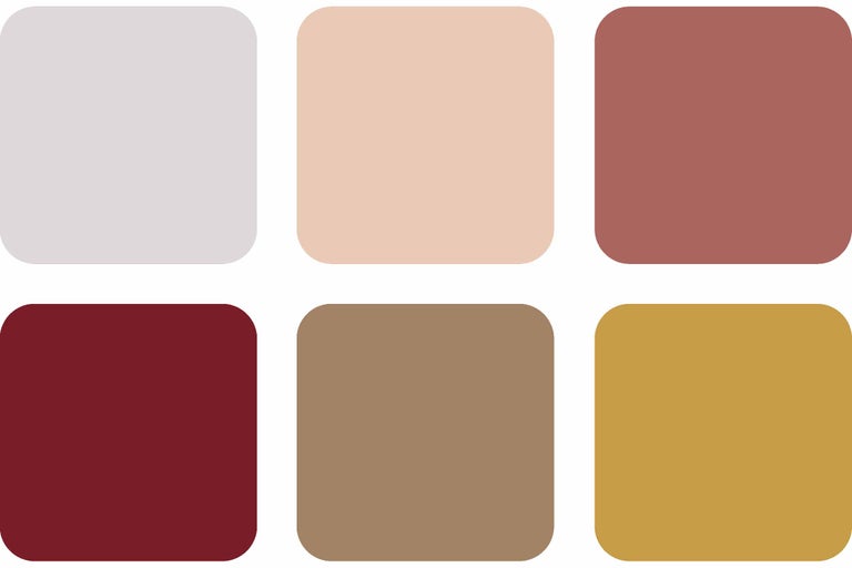 Paletă de culori cu șase nuanțe de culoare