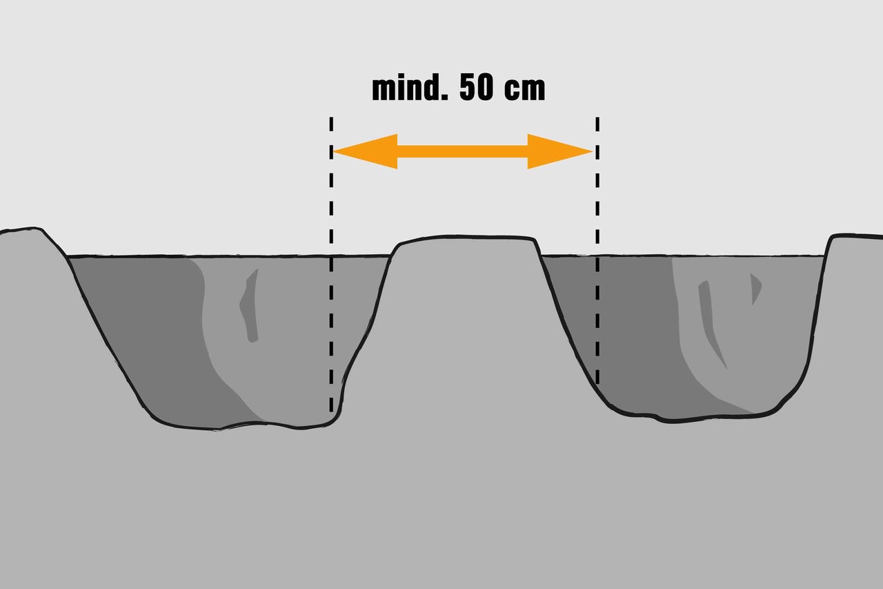 Imagine cu o recomandare pentru găurile de plantare cu o distanță minimă de 50 de centimetri