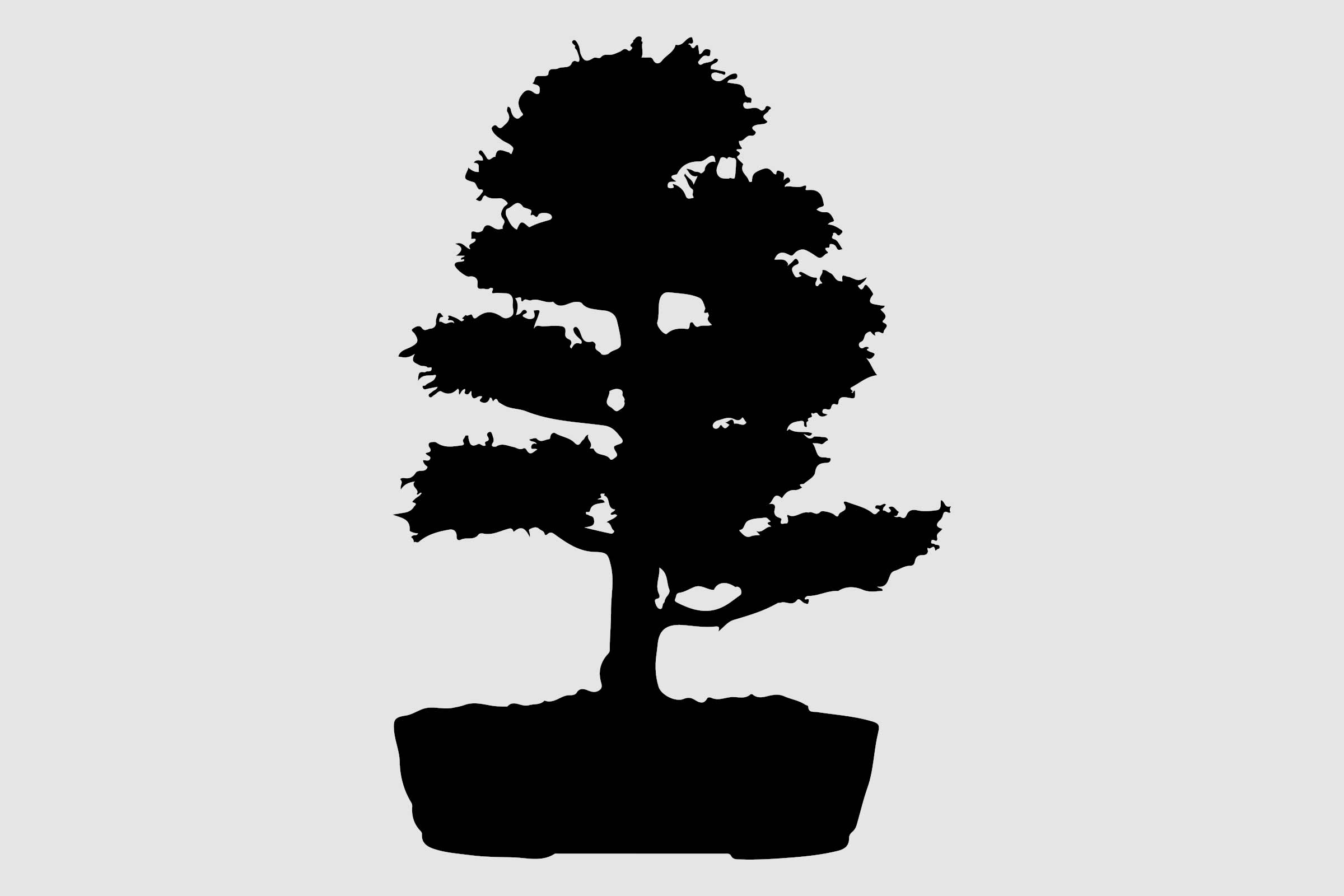 Silueta unui bonsai într-un ghiveci