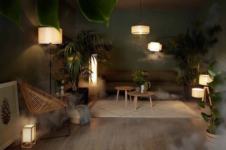 Cameră de zi cu diverse lămpi, canapea, fotoliu și plante pentru o atmosferă confortabilă