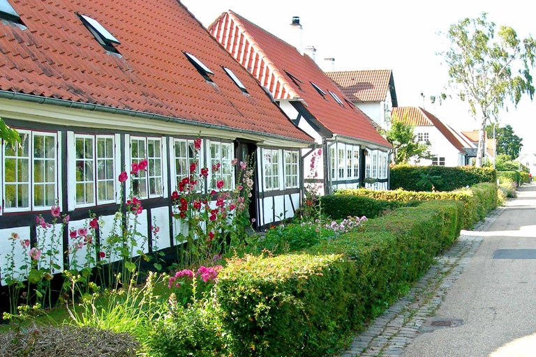 Case cu structură de lemn cu acoperișuri din țiglă și grădini luxuriante de-a lungul unei străzi