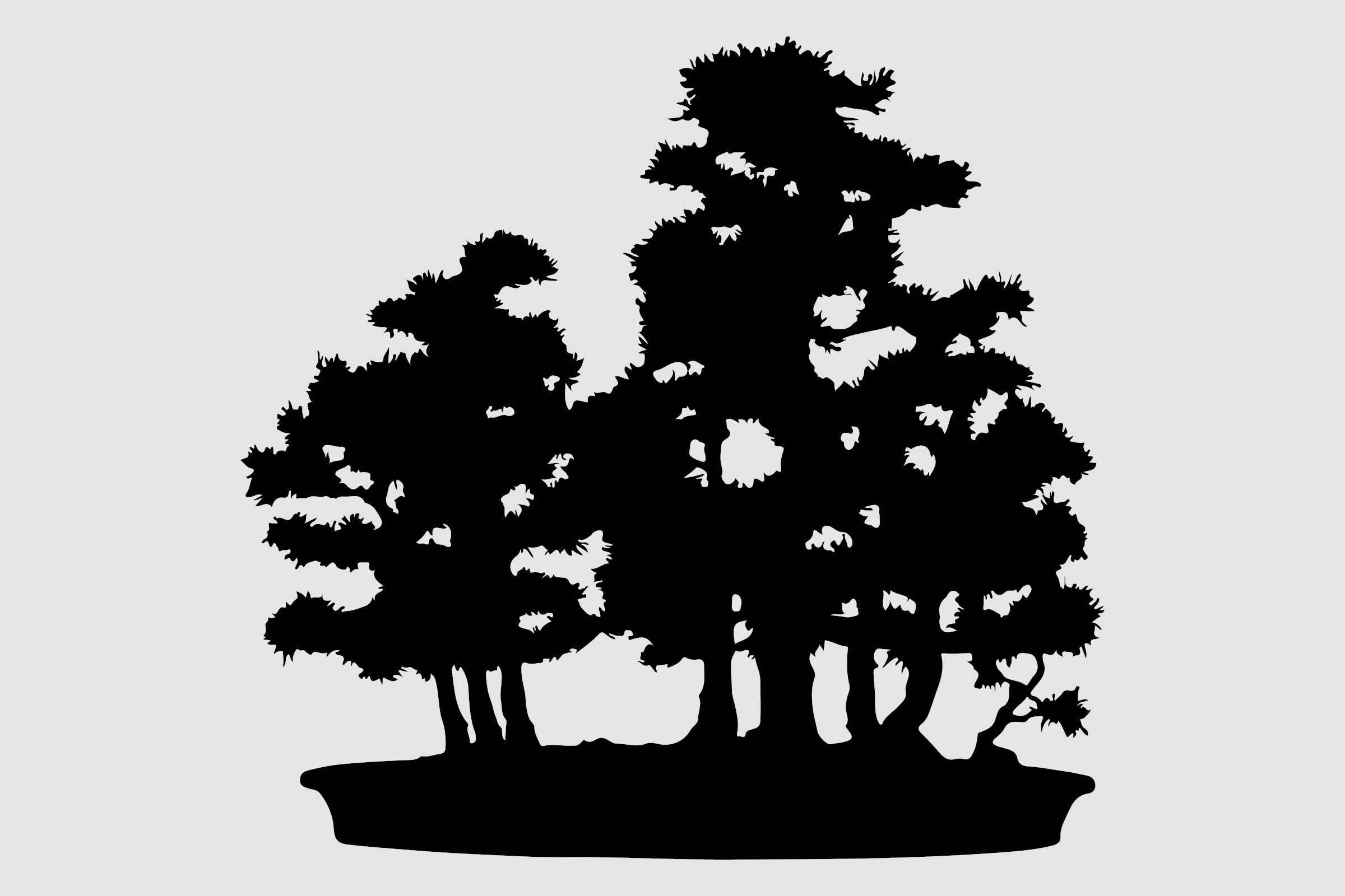 Silueta unui grup de bonsai într-un vas