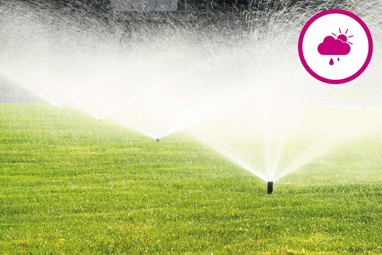 Aspersoare de gazon udând gazon