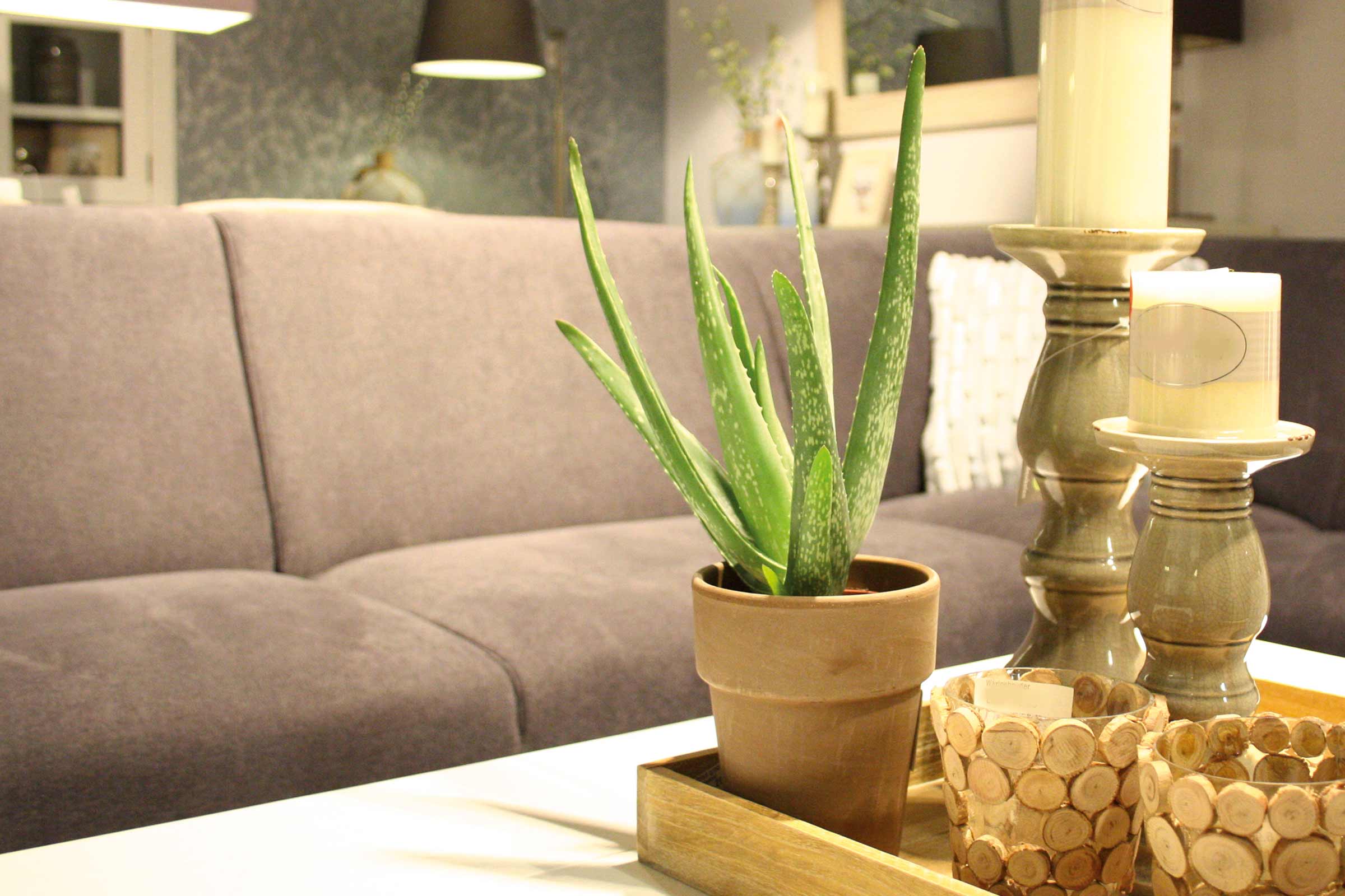 Cameră de zi decorativă cu plantă Aloe Vera în ghiveci, sfeșnice și canapea