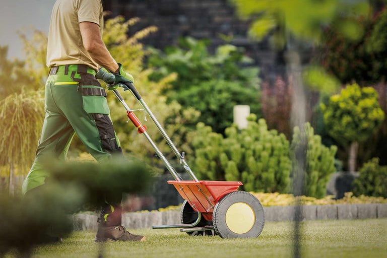 Grădinarul folosește un distribuitor în grădină pentru îngrijirea gazonului.