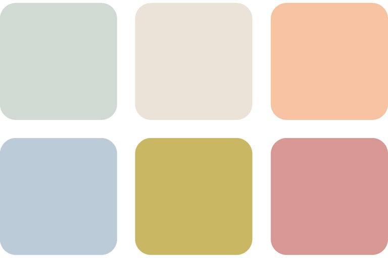 Paletă de culori cu șase câmpuri de culoare