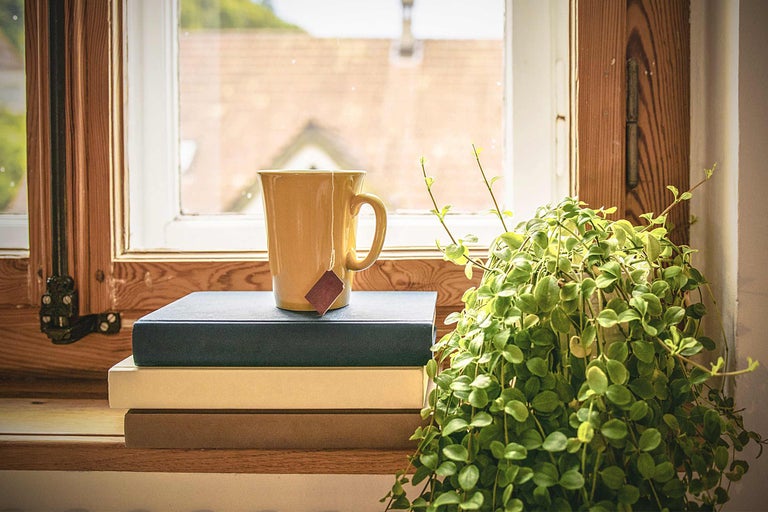 Scenă decorativă cu ceașcă de ceai, cărți și plantă de interior lângă fereastră