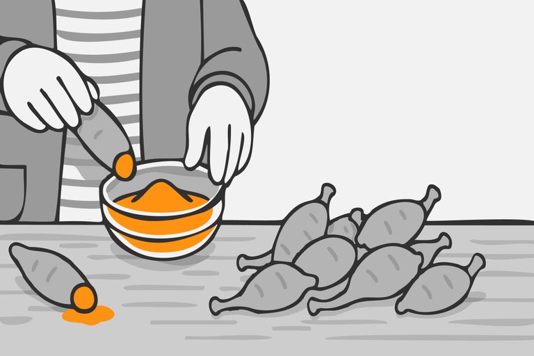 Ilustrație cu o persoană care înmoaie un cartof dulce într-un castron cu pudră