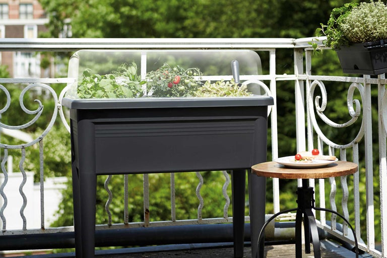 Jardinieră înaltă cu plante de tomate și diverse ierburi pe un balcon.