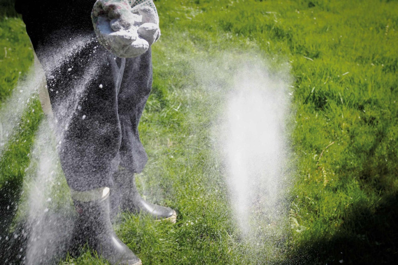 Persoană aplicând fertilizator pe gazon
