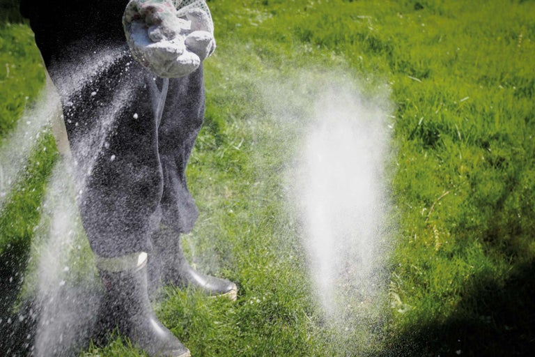 Acoperirea gazonului cu var