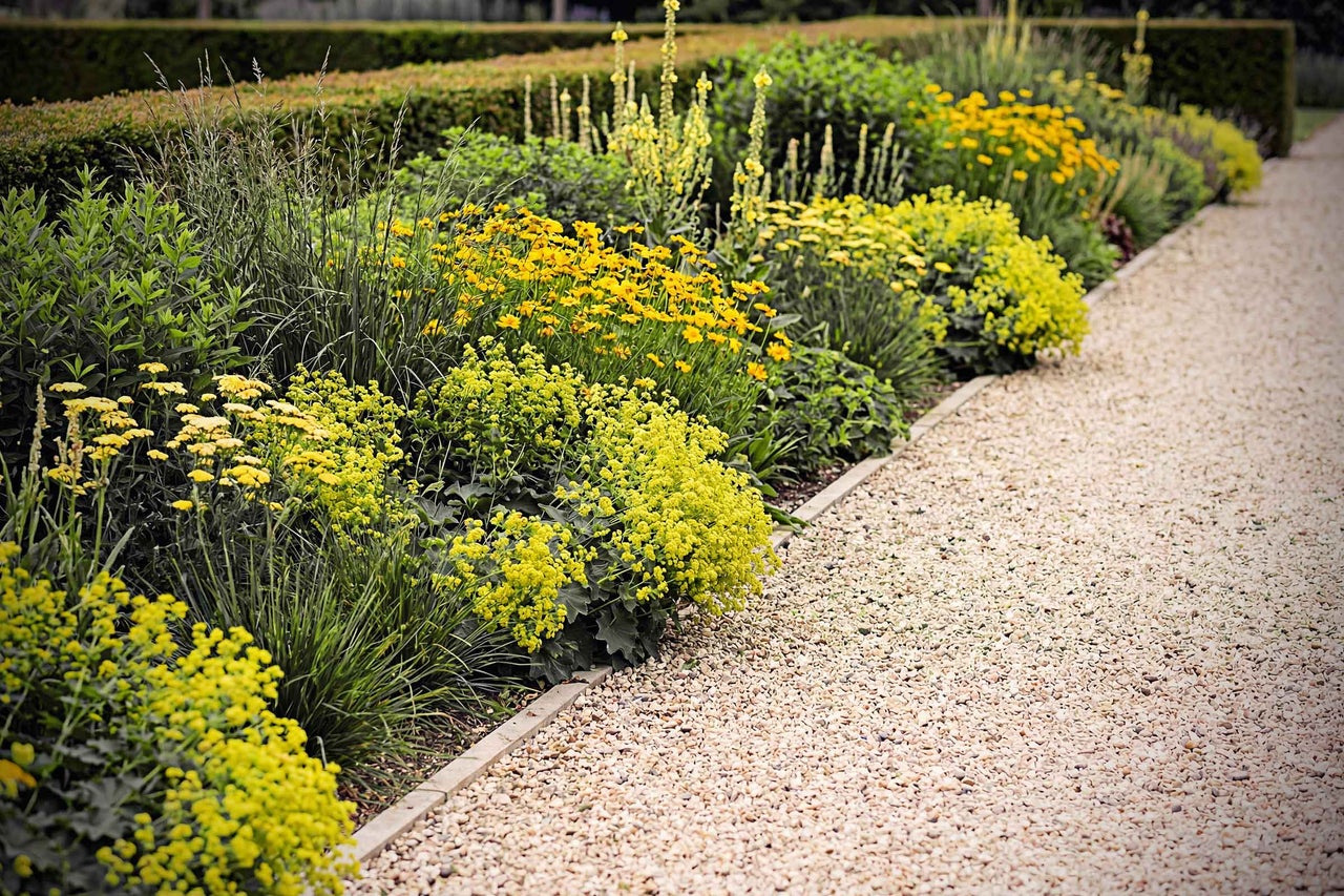 Alei de grădină cu flori galbene și pietriș