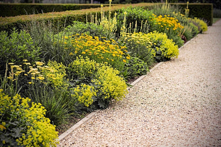 Alei de grădină cu flori galbene și pietriș