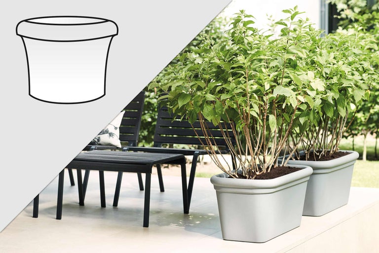 Două jardiniere gri cu plante verzi, împreună cu un set de mobilier de exterior negru