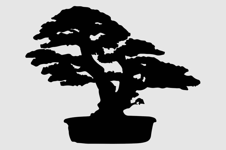 Silueta unui bonsai într-un ghiveci