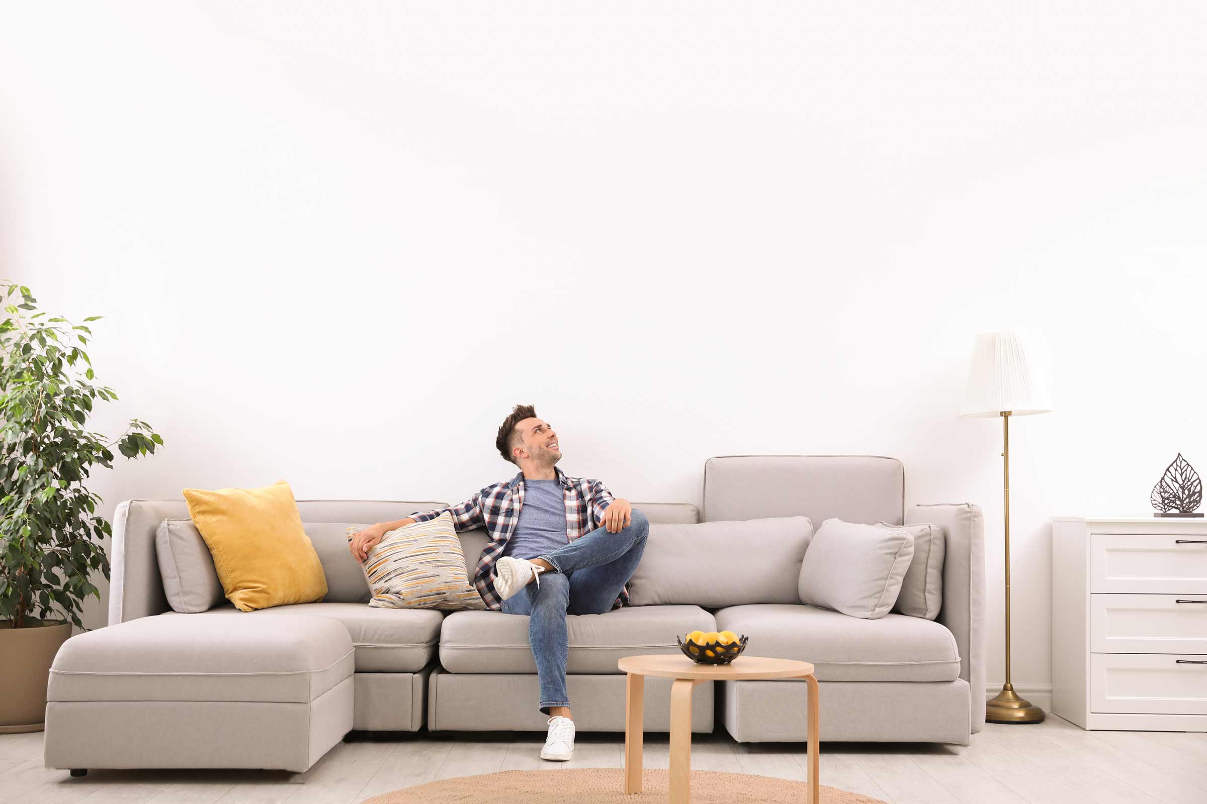 Living luminos cu canapea, măsuță laterală și plantă de apartament