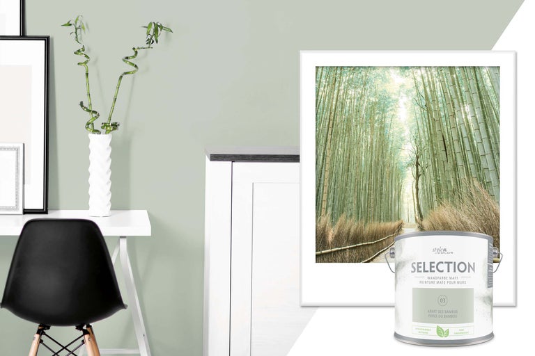 Cameră de zi cu decor de bambus și vopsea de perete mată Style Color Selection Forța bambusului