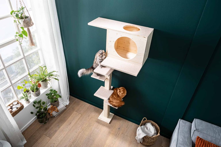 Construiți-vă propriul stâlp pentru zgâriat