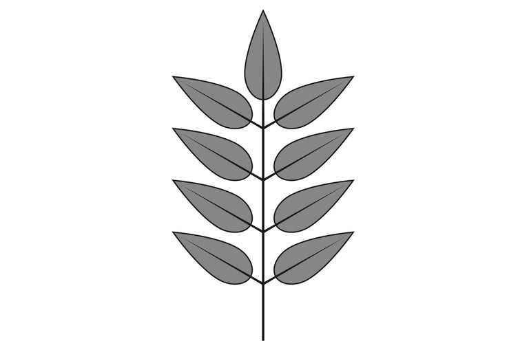Design cu frunze