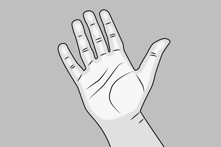 Ilustrație a unei palme deschise