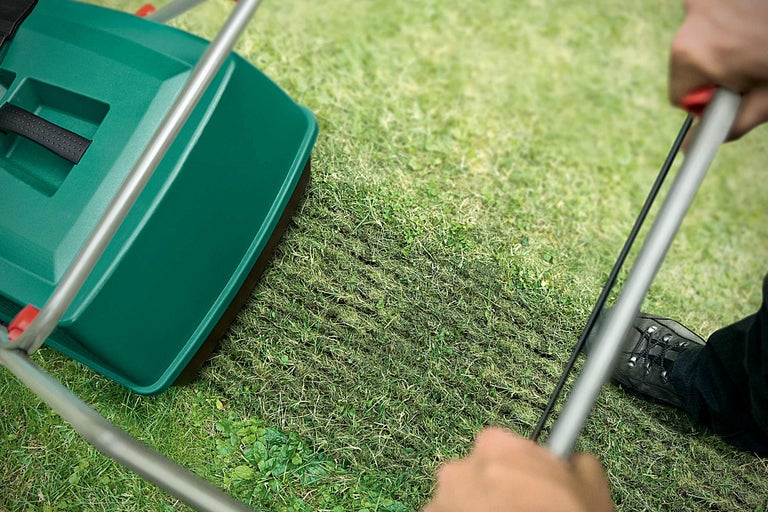Îngrijirea gazonului cu un distribuitor pe un gazon