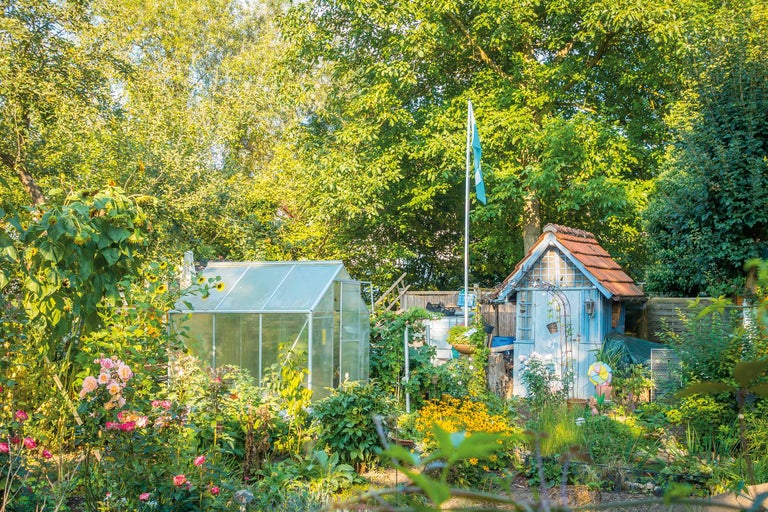 Idei pentru grădina de legume