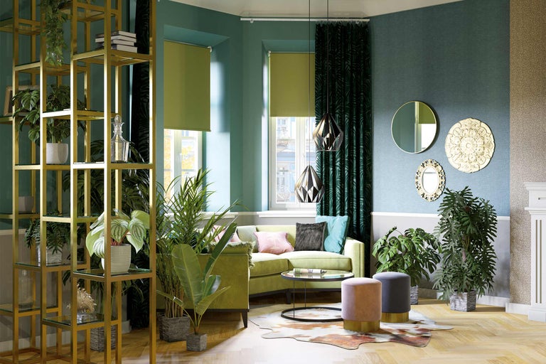 Cameră de zi cu canapea verde, plante, rafturi și elemente decorative pentru o atmosferă vibrantă