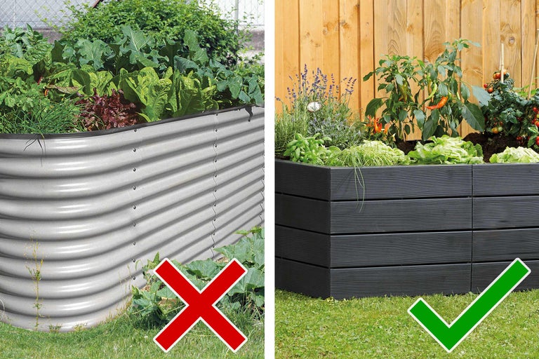 Comparație de straturi înălțate: metal și lemn plantate cu legume