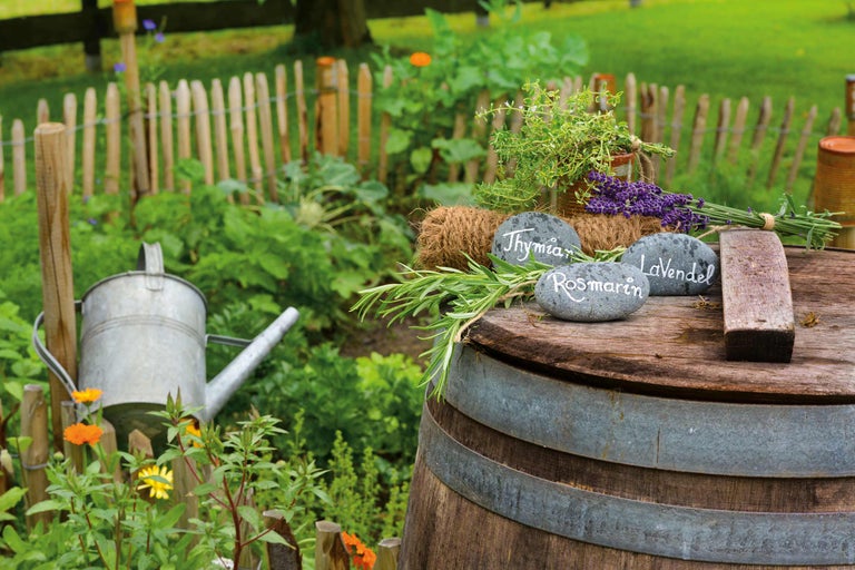 Natură statică de grădină cu ierburi aromatice, pietre cu inscripții, stropitoare și gard din lemn